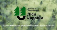 Effizienzsteigerung: Forests of Ukraine wurde in die Liste der wichtigsten Staatsunternehmen aufgenommen